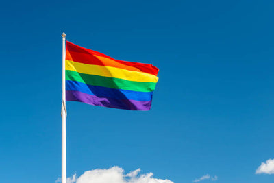 <b>The Importance of Pride Month to the LGBTQ+ Community</b>