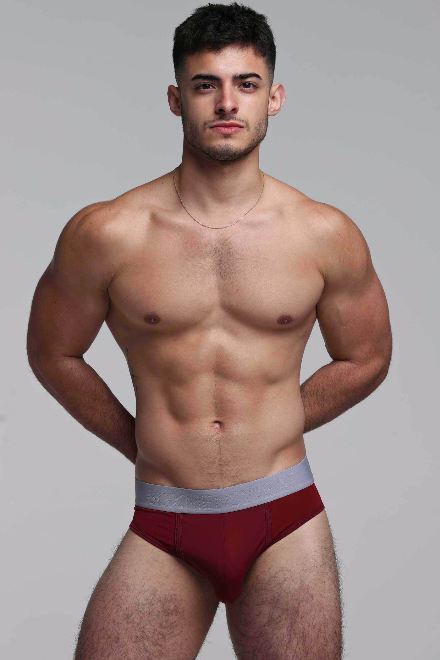 Mesh Panel Briefs - Burgundy Bordeaux - boxmenswear - {{variant_title}}