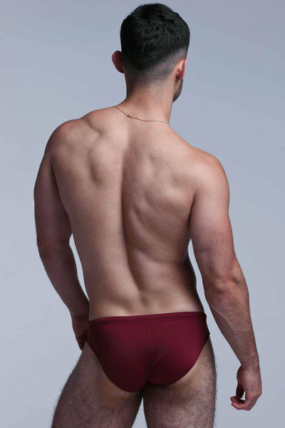 Swimming Trunks - Burgundy - boxmenswear - {{variant_title}}