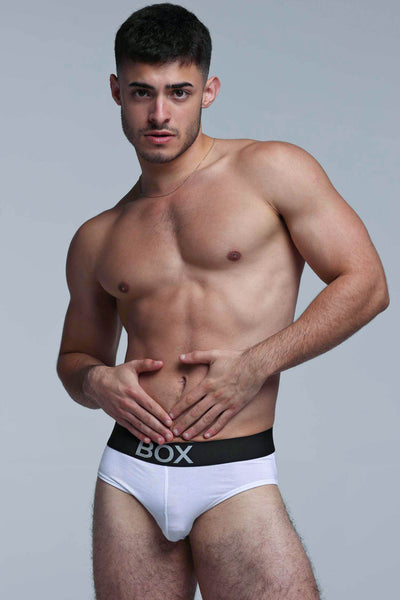 Metallic Modal Briefs - White & Silver - boxmenswear - {{variant_title}}