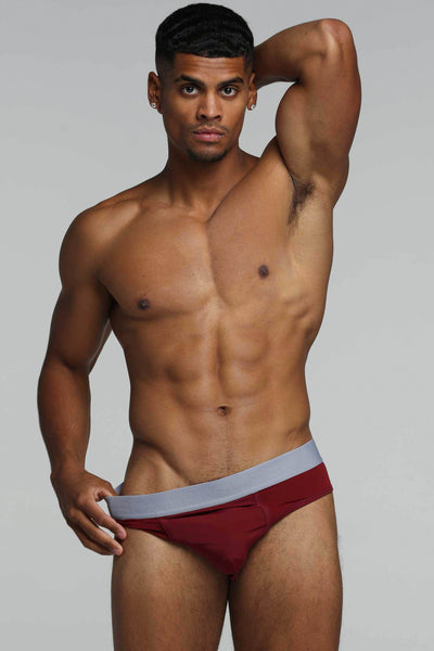 Mesh Panel Briefs - Burgundy Bordeaux - boxmenswear - {{variant_title}}