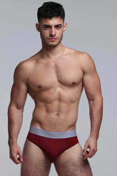 Mesh Panel Briefs - Burgundy Bordeaux - boxmenswear - {{variant_title}}