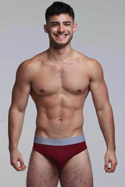 Mesh Panel Briefs - Burgundy Bordeaux - boxmenswear - {{variant_title}}