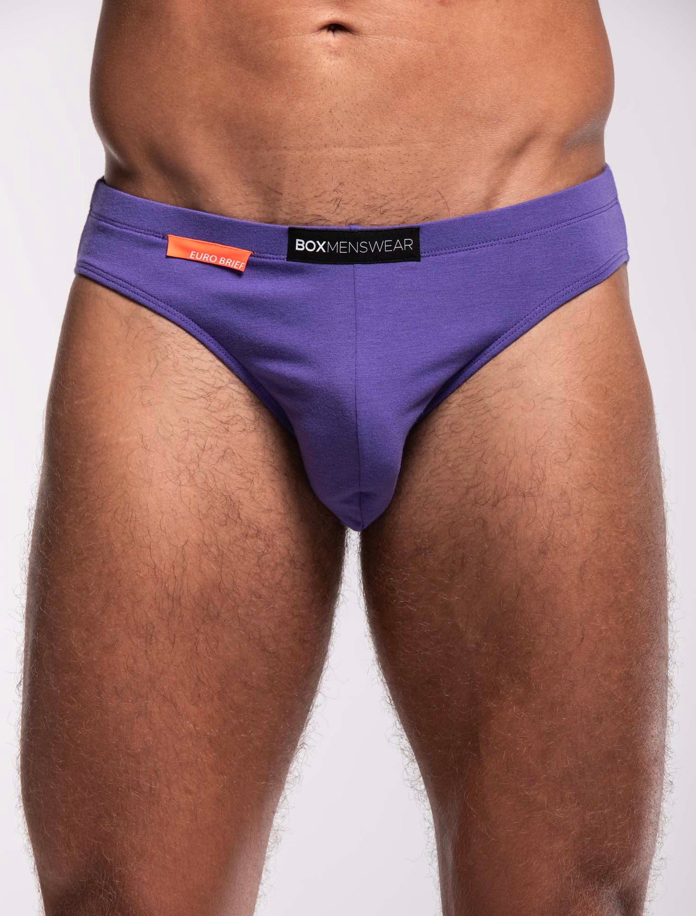 Mens Euro Briefs - Ultra Violet - boxmenswear - {{variant_title}}