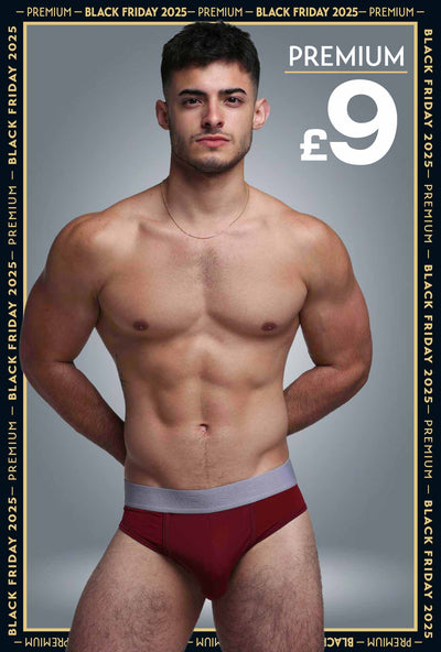 Mesh Panel Briefs - Burgundy Bordeaux - boxmenswear - {{variant_title}}