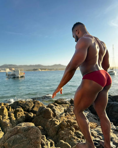 Swimming Trunks - Burgundy - boxmenswear - {{variant_title}}